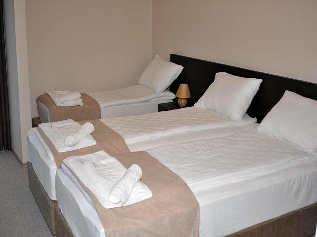 Hotel Jezero Bor Kültér fotó